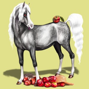 Apple Boy